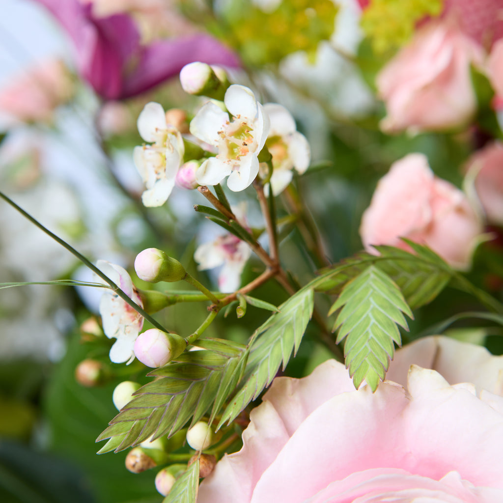 Just Between Friends (Lisianthus / Clematis / Stocks / Roses / Spray Rose / Waxflower / Anthurium / Chasmanthium / Eucalyptus / Bupleurem)