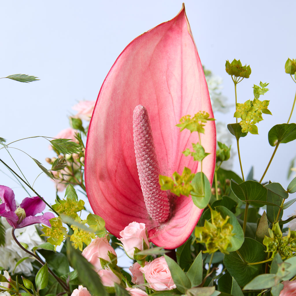 Just Between Friends (Lisianthus / Clematis / Stocks / Roses / Spray Rose / Waxflower / Anthurium / Chasmanthium / Eucalyptus / Bupleurem)