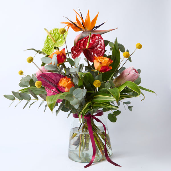 Kinky Afro (Anthurium / Billybobs / Protea / Bird of Paradise / Roses / Eucalyptus / Dracaena)