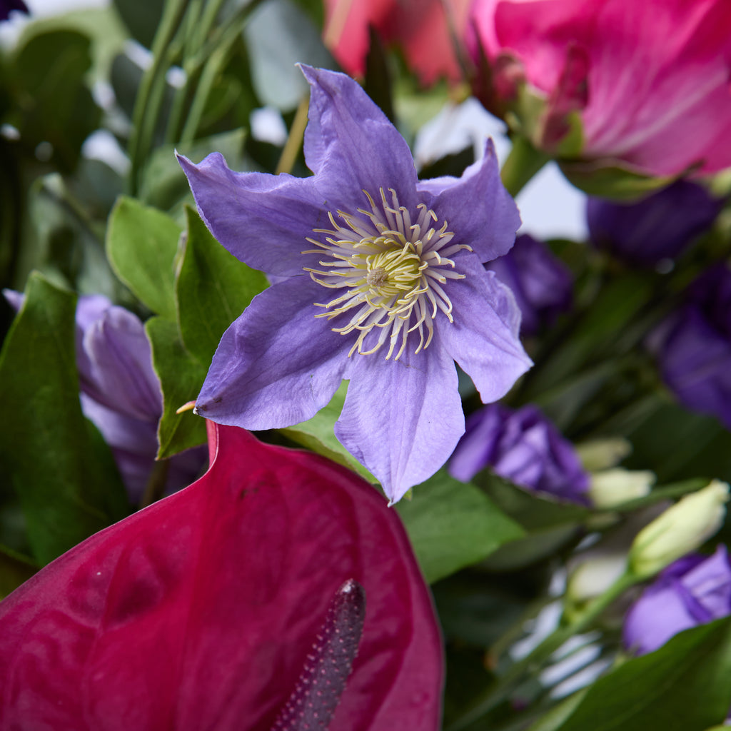 The River Tib (Lisianthus / Clematis / Roses / Anthurium / Stocks)