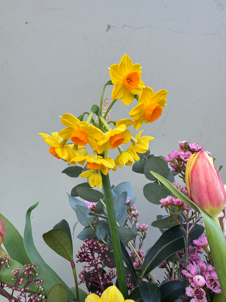 June (A seasonal, scented mix of narcissi, hyacinths, tulips, waxflower and eucalyptus.)