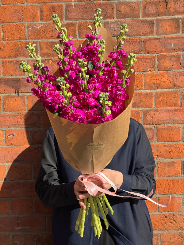 Stocks Solo (A wrap of beautifully scented stocks - colours may vary)