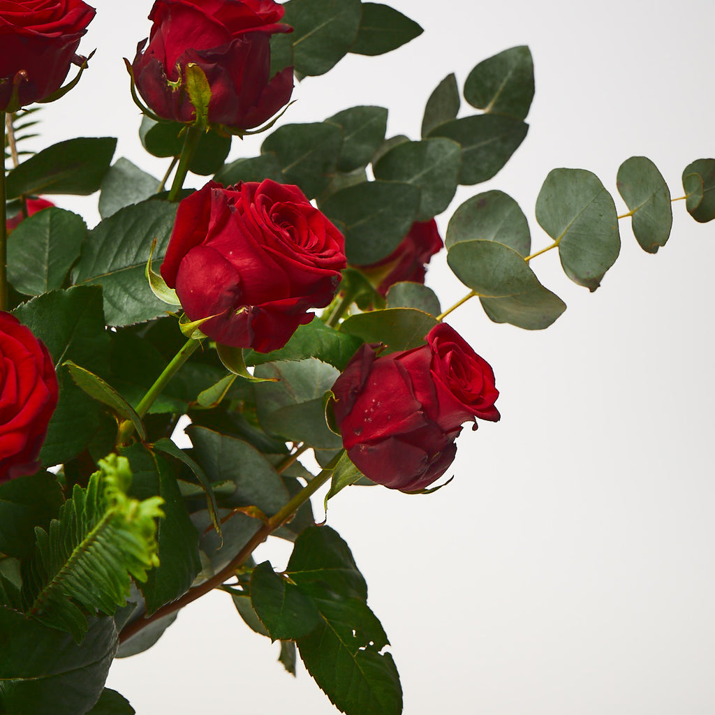 True Romance (Red roses / Eucalyptus / Ferns)