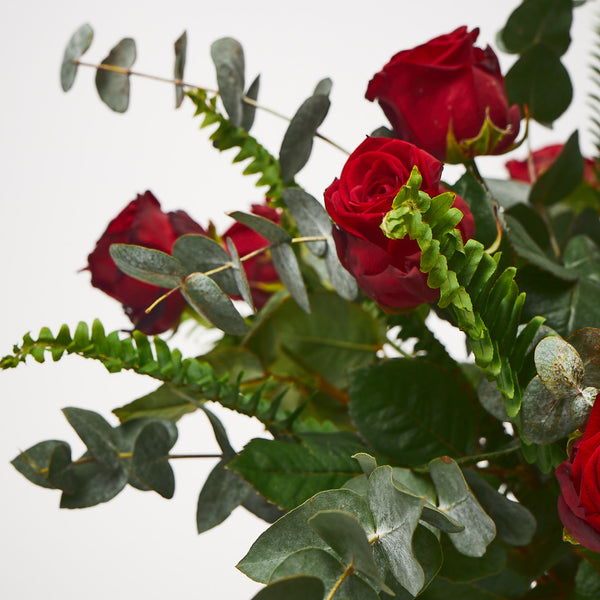 True Romance (Red roses / Eucalyptus / Ferns)