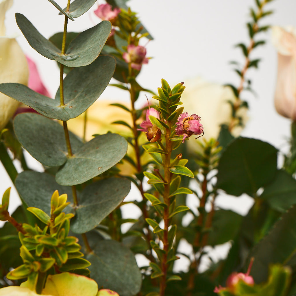 Yes Please! (Mixed roses / Mixed foliages)