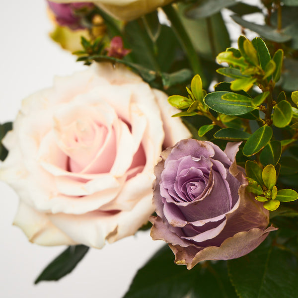 Yes Please! (Mixed roses / Mixed foliages)