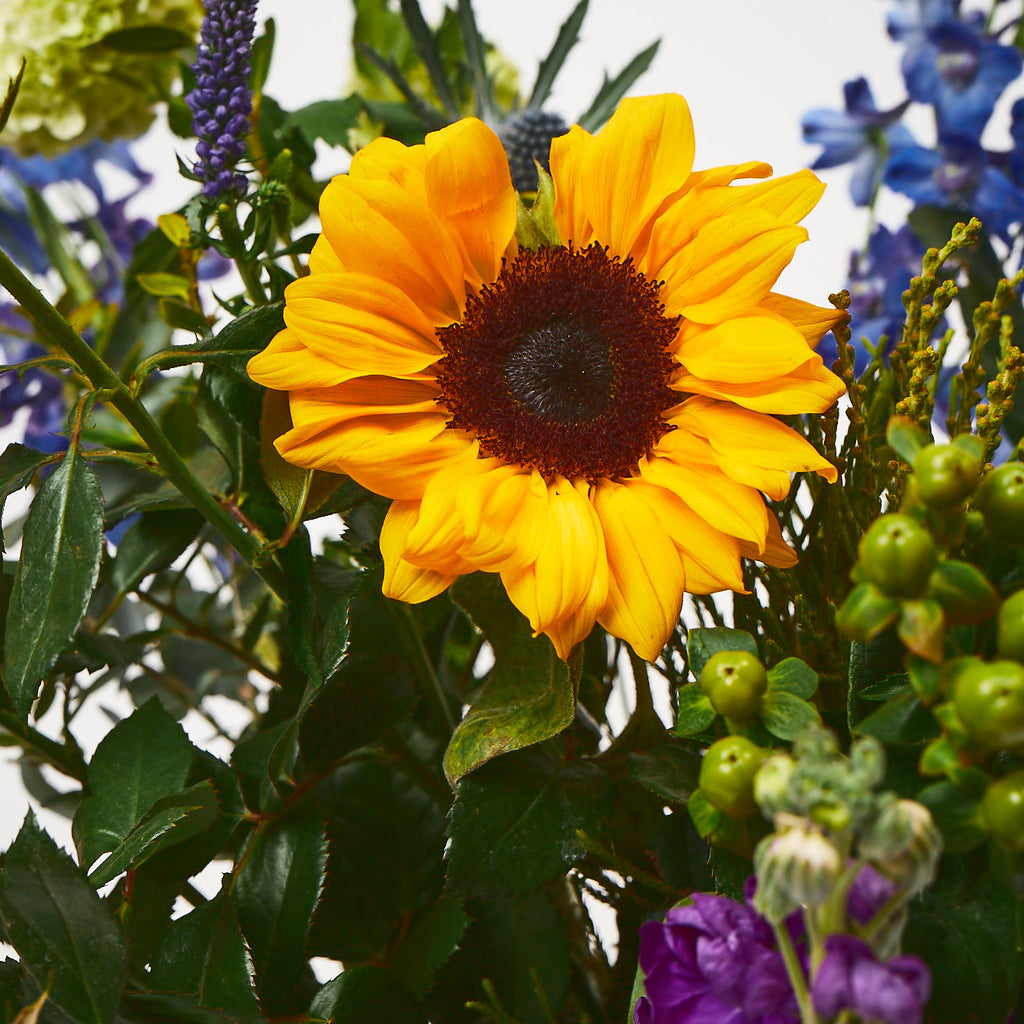 Crazy Sue (Delphinium / Anthurium / Stocks / Sunflowers / Roses / Veronica / Thistle / Viburnum)