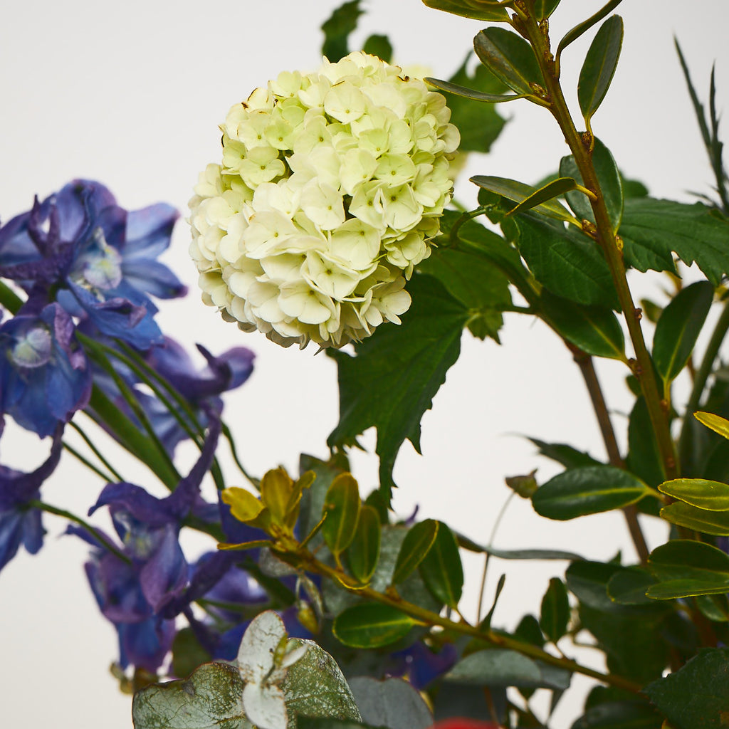 Crazy Sue (Delphinium / Anthurium / Stocks / Sunflowers / Roses / Veronica / Thistle / Viburnum)
