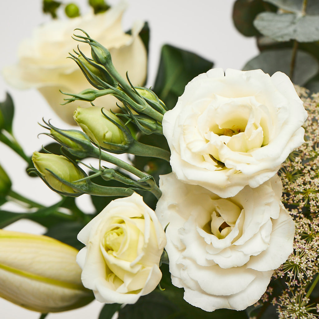 Our Emmeline (White hydrangea / Dill / Stocks / Roses / Lilies / Lisianthus / Eucalyptus)