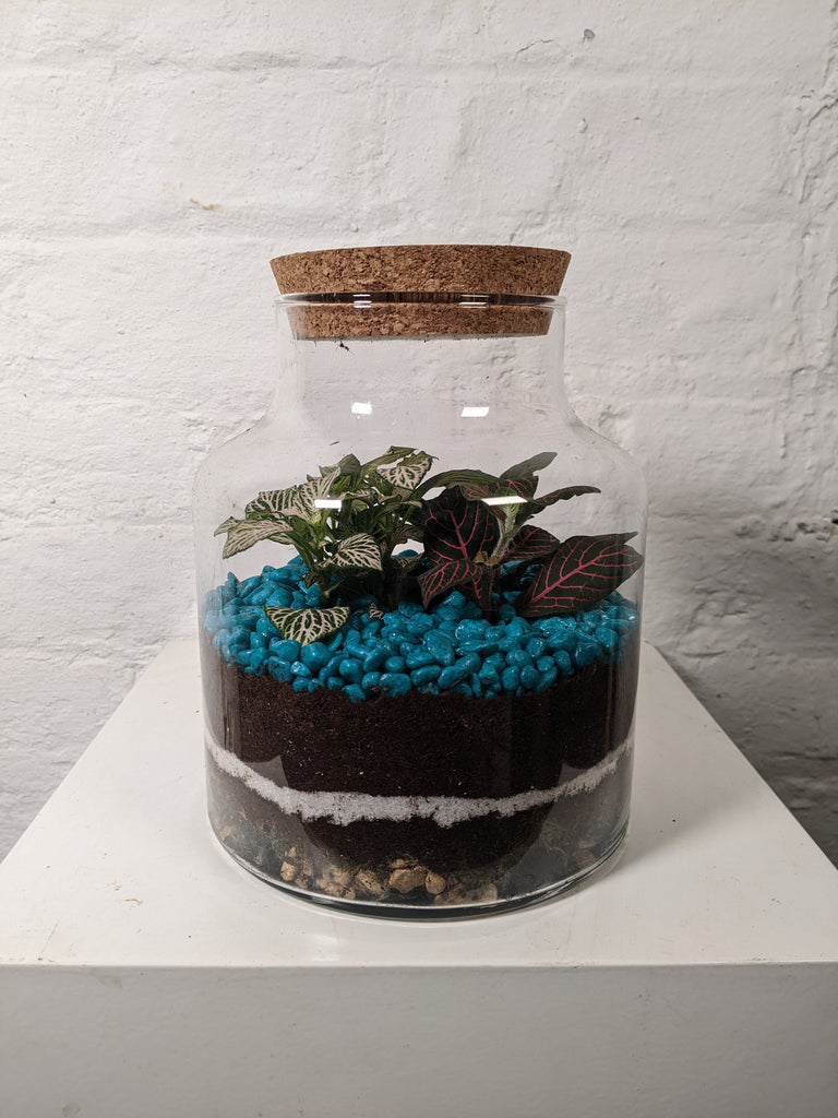 Cork Terrarium